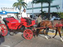 Transporte, Taxis, Buses, Coches, Cartagena, Colombia
